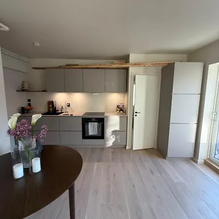 Downtown Apartment